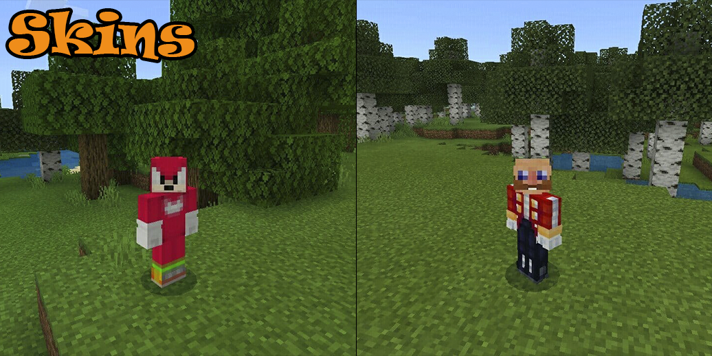 اسکرین شات 3 برنامه Skins Sonic for Minecraft PE