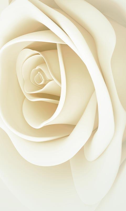 اسکرین شات 6 برنامه Rose Live Wallpaper