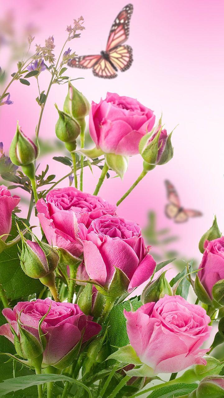 اسکرین شات 3 برنامه Rose Live Wallpaper