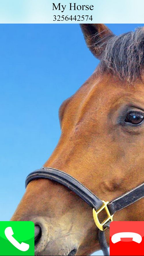 اسکرین شات 3 بازی fake call horse game care