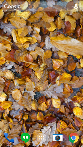 اسکرین شات 4 برنامه Autumn leaves 3D LWP