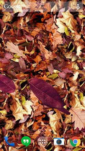 اسکرین شات 2 برنامه Autumn leaves 3D LWP