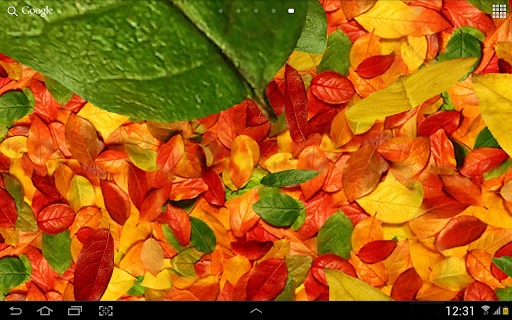 اسکرین شات 6 برنامه Autumn leaves 3D LWP