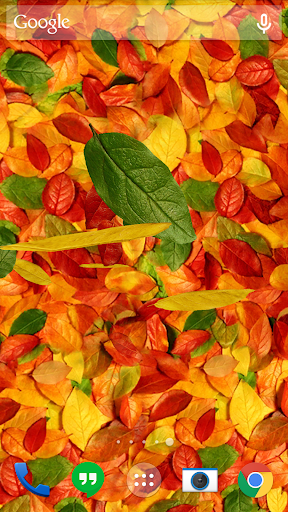 اسکرین شات 1 برنامه Autumn leaves 3D LWP