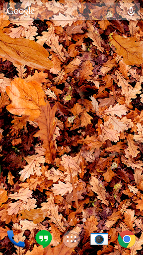 اسکرین شات 5 برنامه Autumn leaves 3D LWP