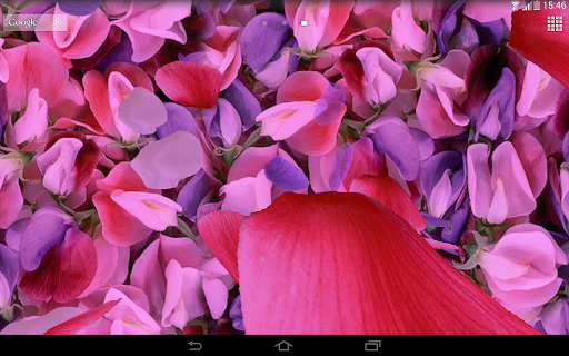 اسکرین شات 8 برنامه Petals 3D live wallpaper
