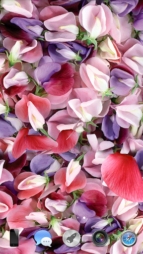 اسکرین شات 3 برنامه Petals 3D live wallpaper