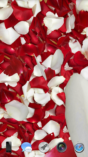 اسکرین شات 1 برنامه Petals 3D live wallpaper