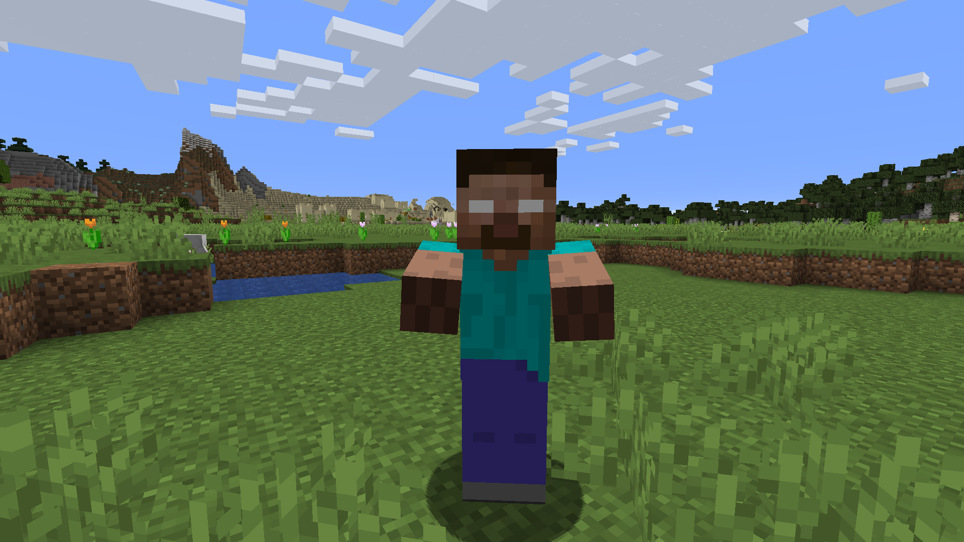 اسکرین شات 3 برنامه Mod Herobrine for Minecraft PE