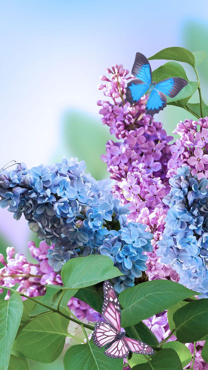 اسکرین شات 2 برنامه Spring Flowers Live Wallpaper