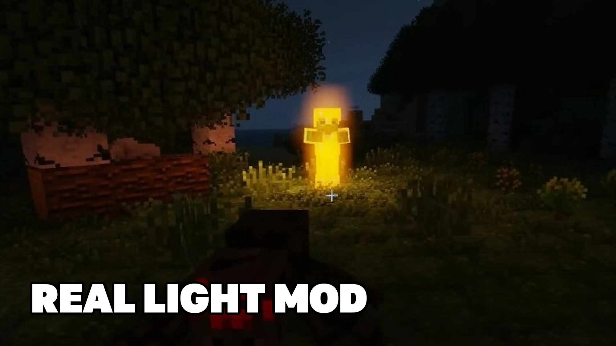 اسکرین شات 1 برنامه Dynamic Mod for Minecraft PE