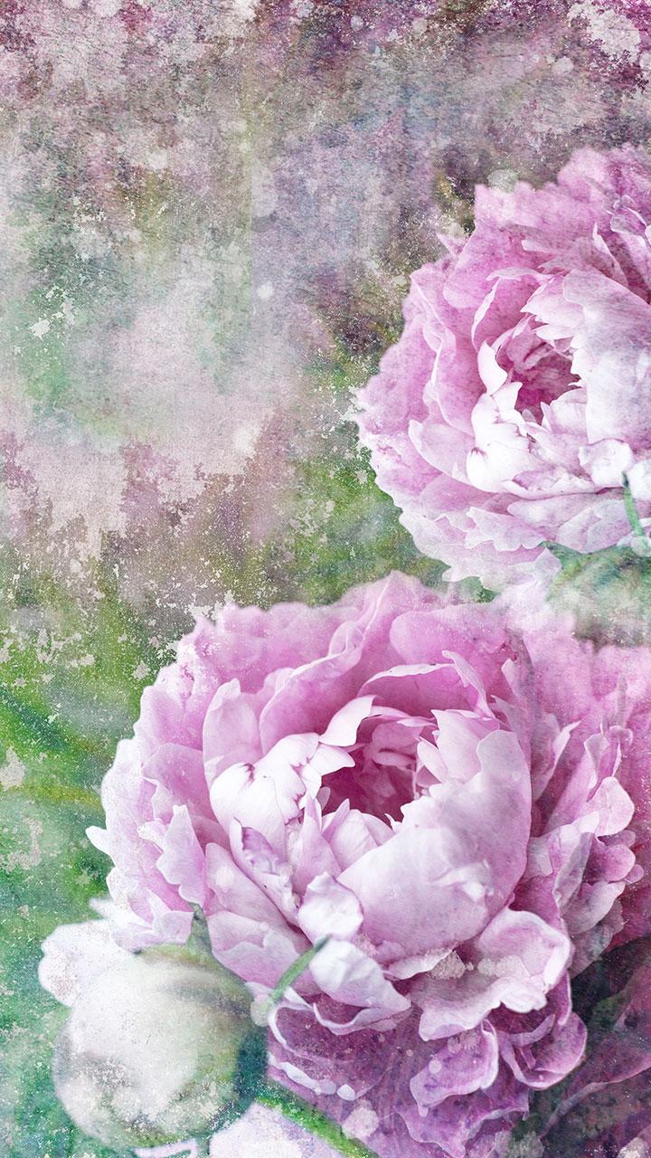 اسکرین شات 5 برنامه Vintage Roses Live Wallpaper
