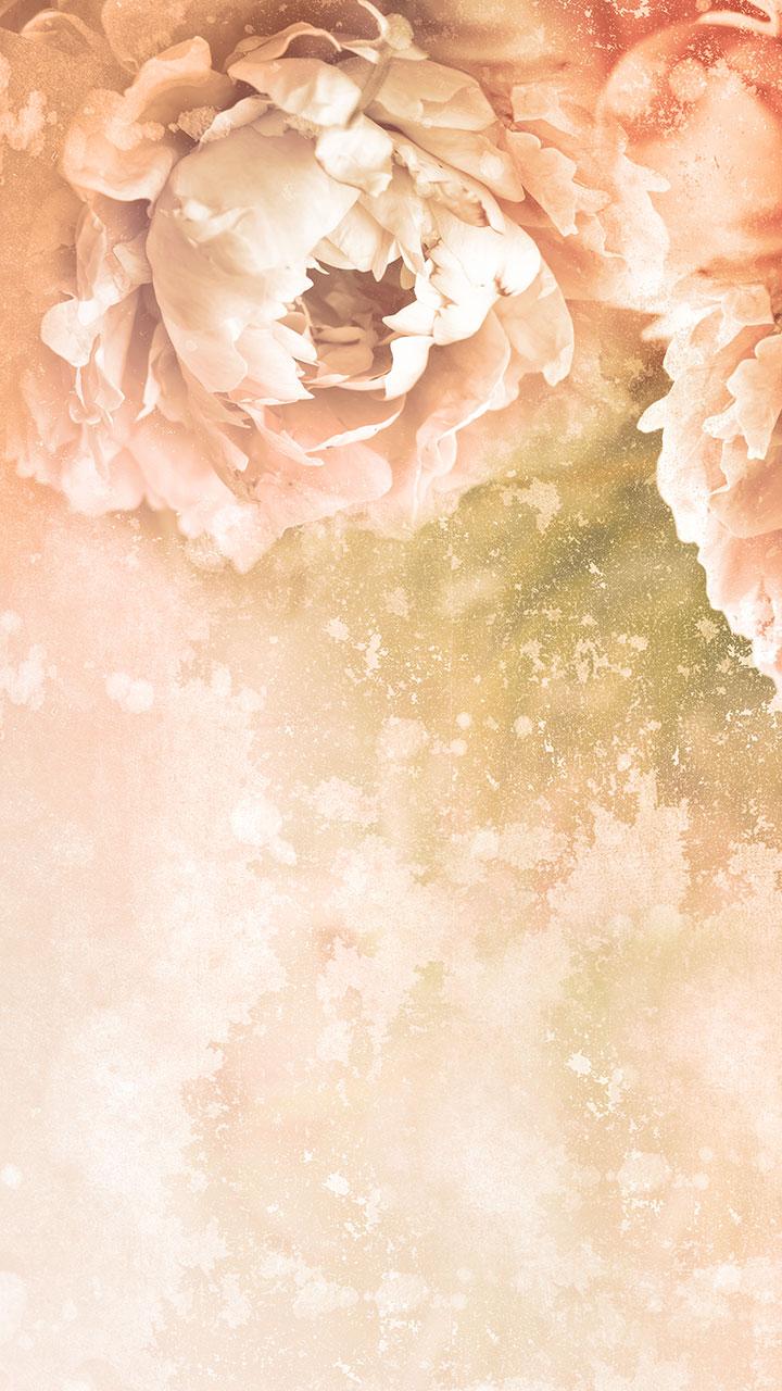 اسکرین شات 4 برنامه Vintage Roses Live Wallpaper