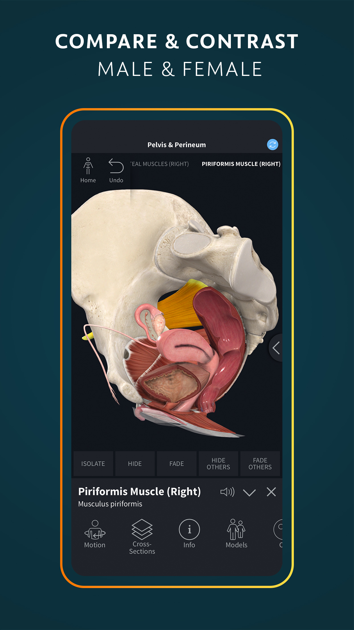 اسکرین شات 5 برنامه Complete Anatomy