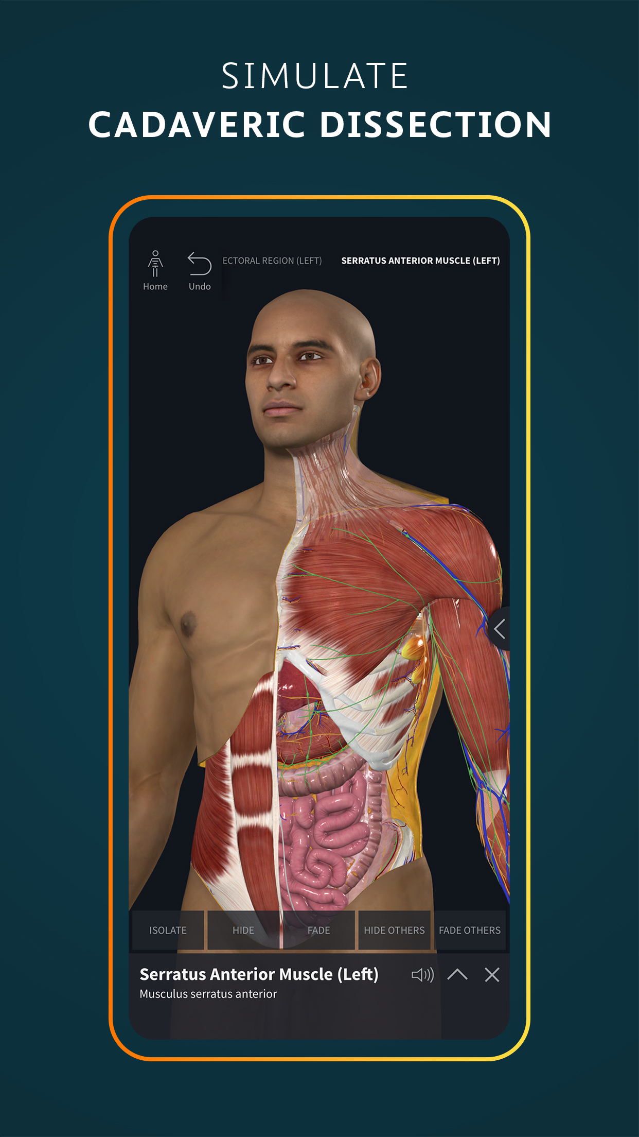 اسکرین شات 2 برنامه Complete Anatomy