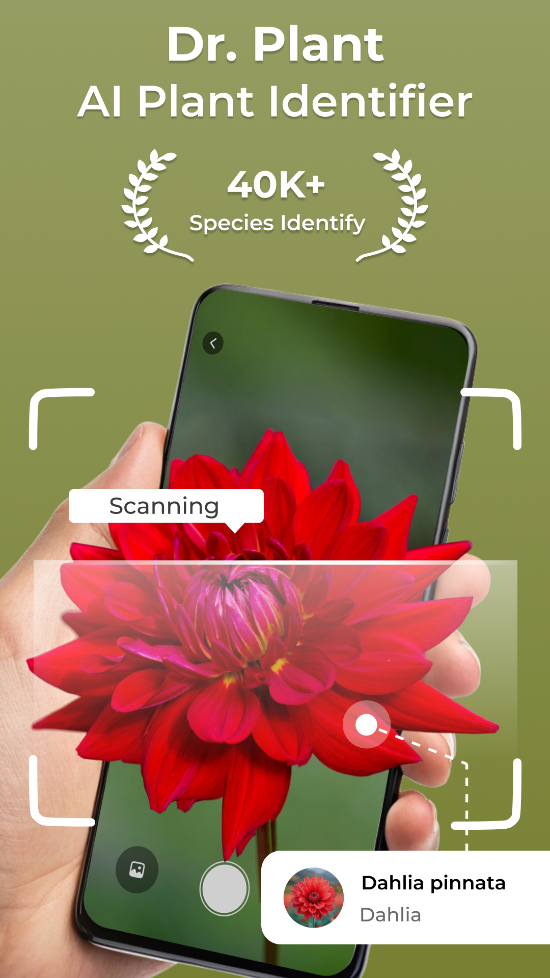 اسکرین شات 1 برنامه Dr Plant: AI Plant Identifier