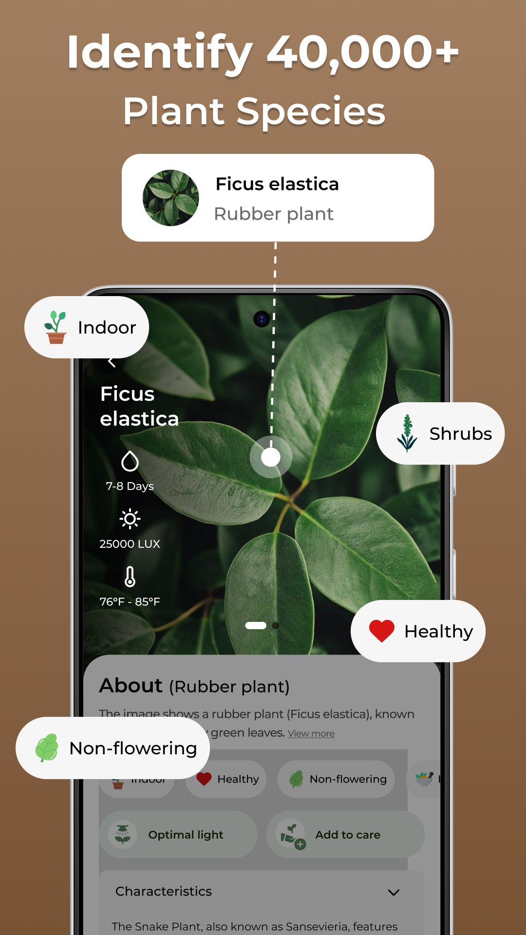 اسکرین شات 2 برنامه Plant Care: Identify Plants
