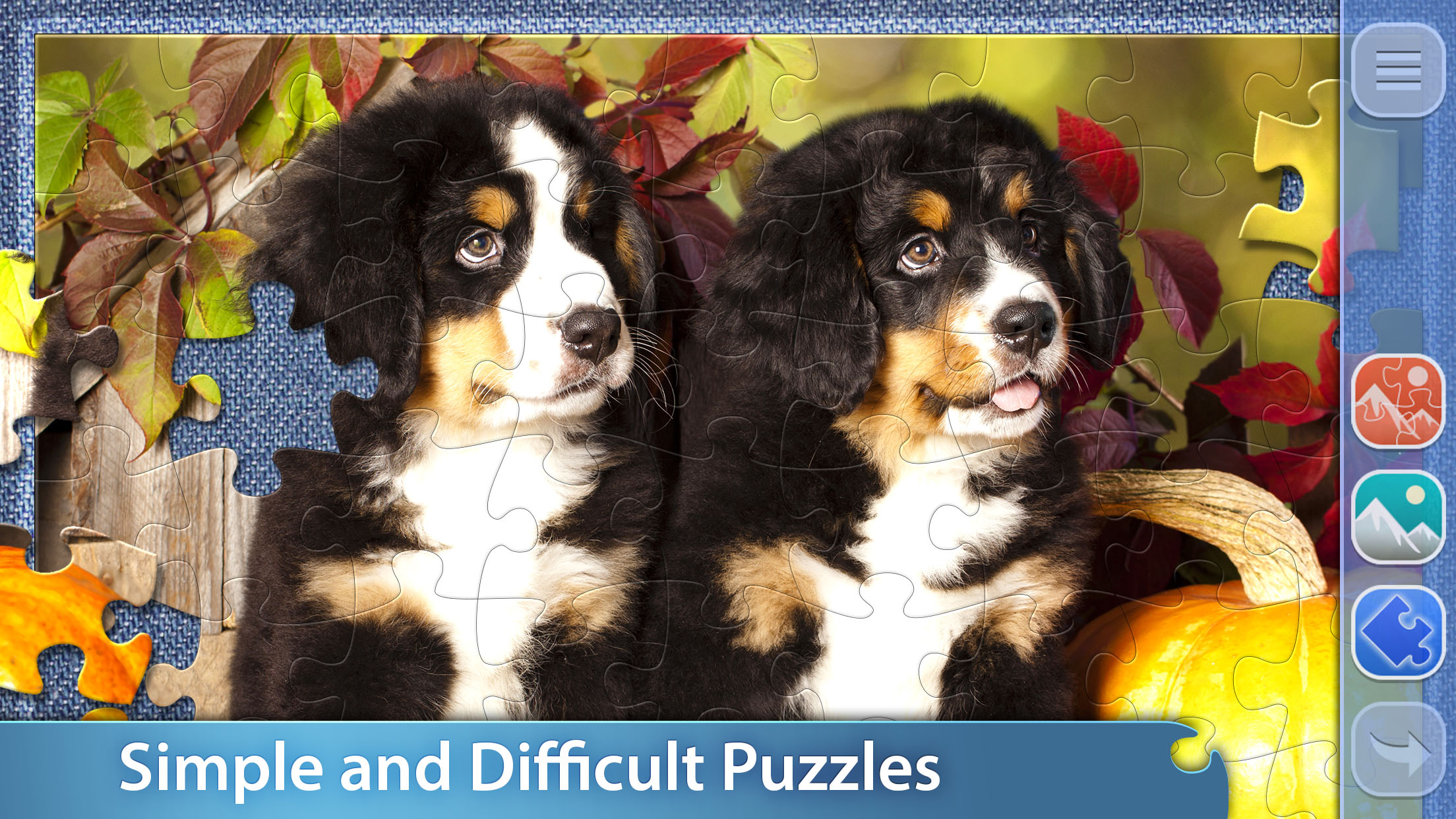 اسکرین شات 4 بازی Jigsaw Puzzle Club