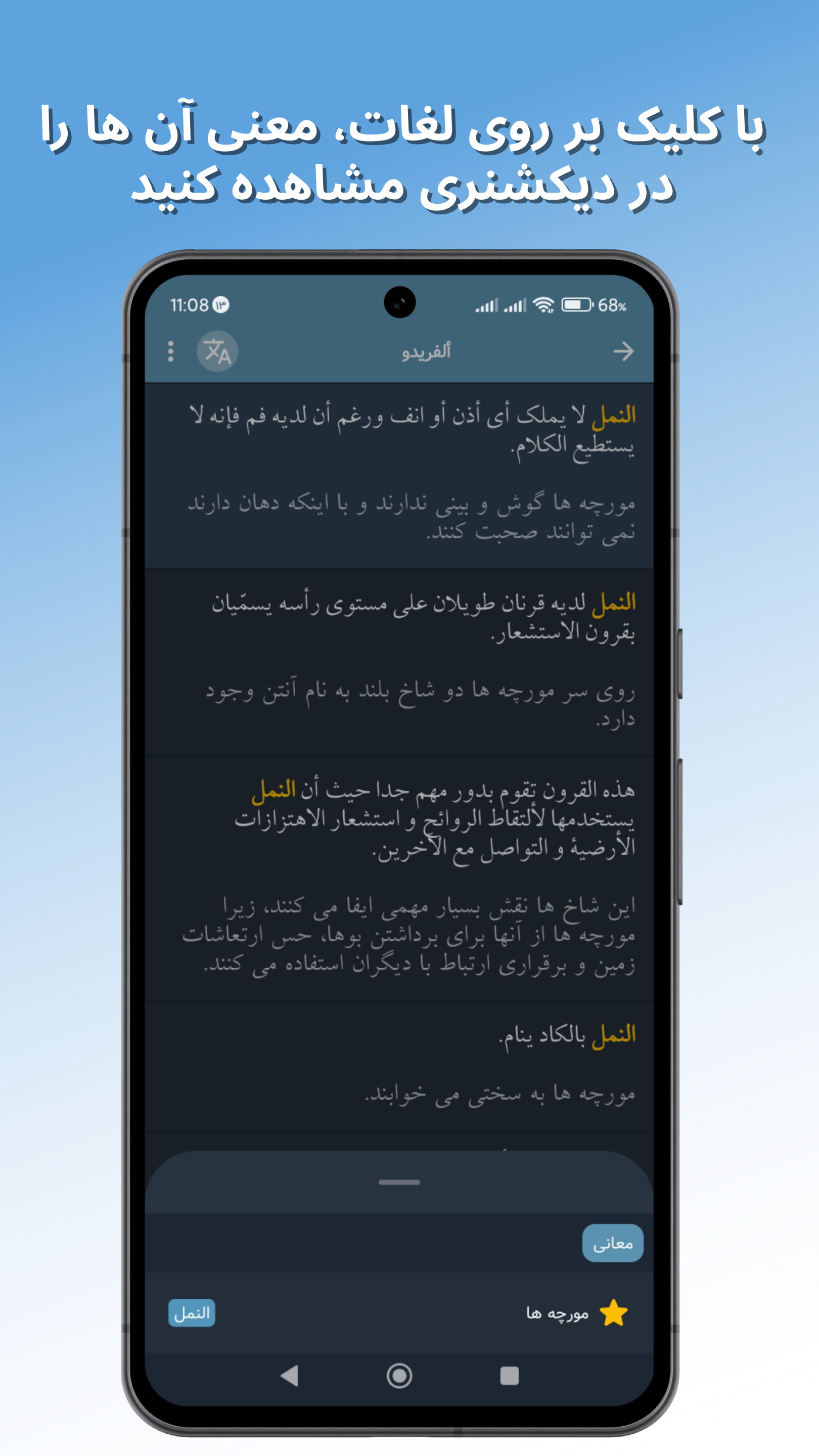 اسکرین شات 3 برنامه آموزش زبان عربی
