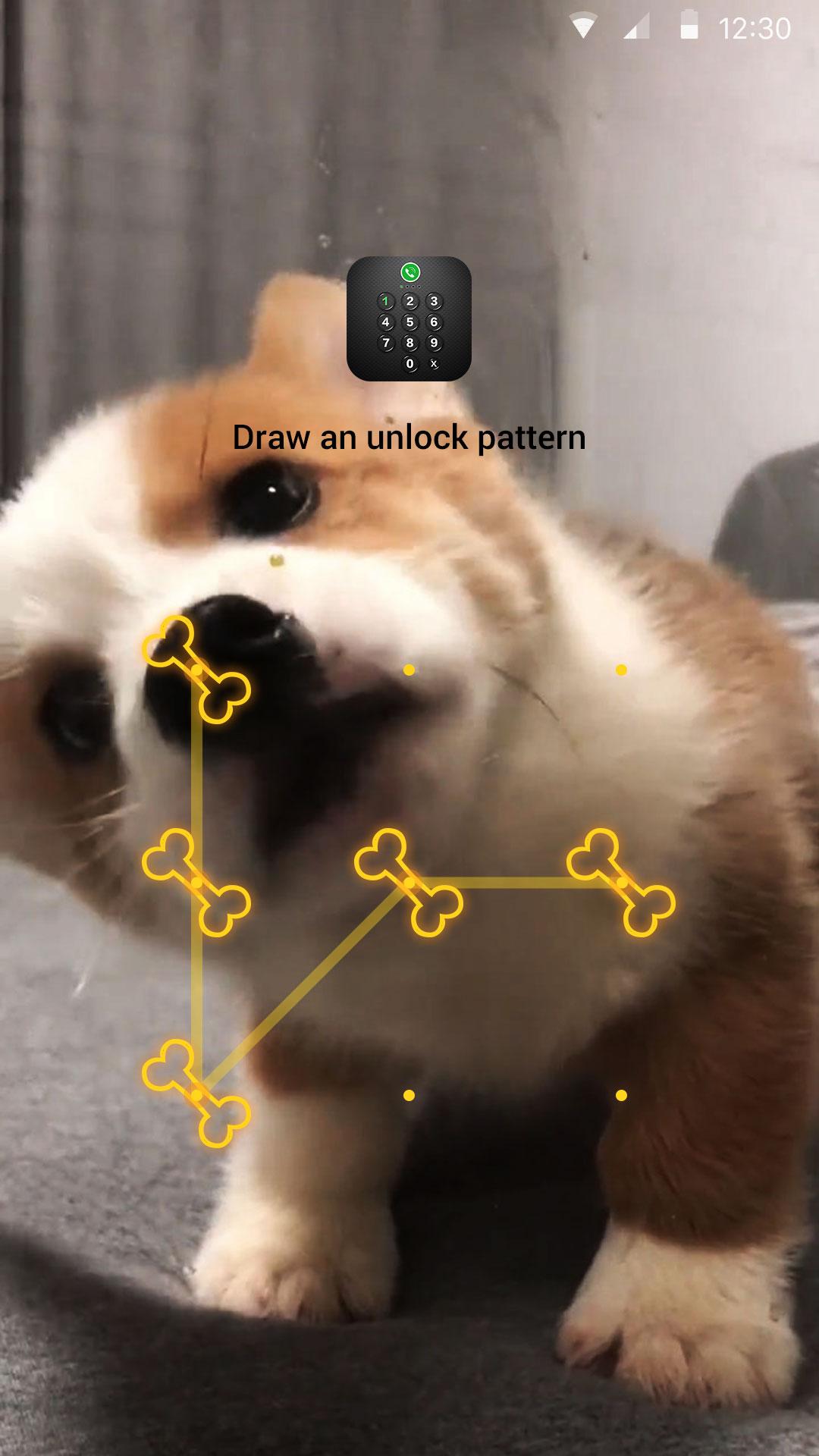 اسکرین شات 1 برنامه AppLock Live Theme - Corgi