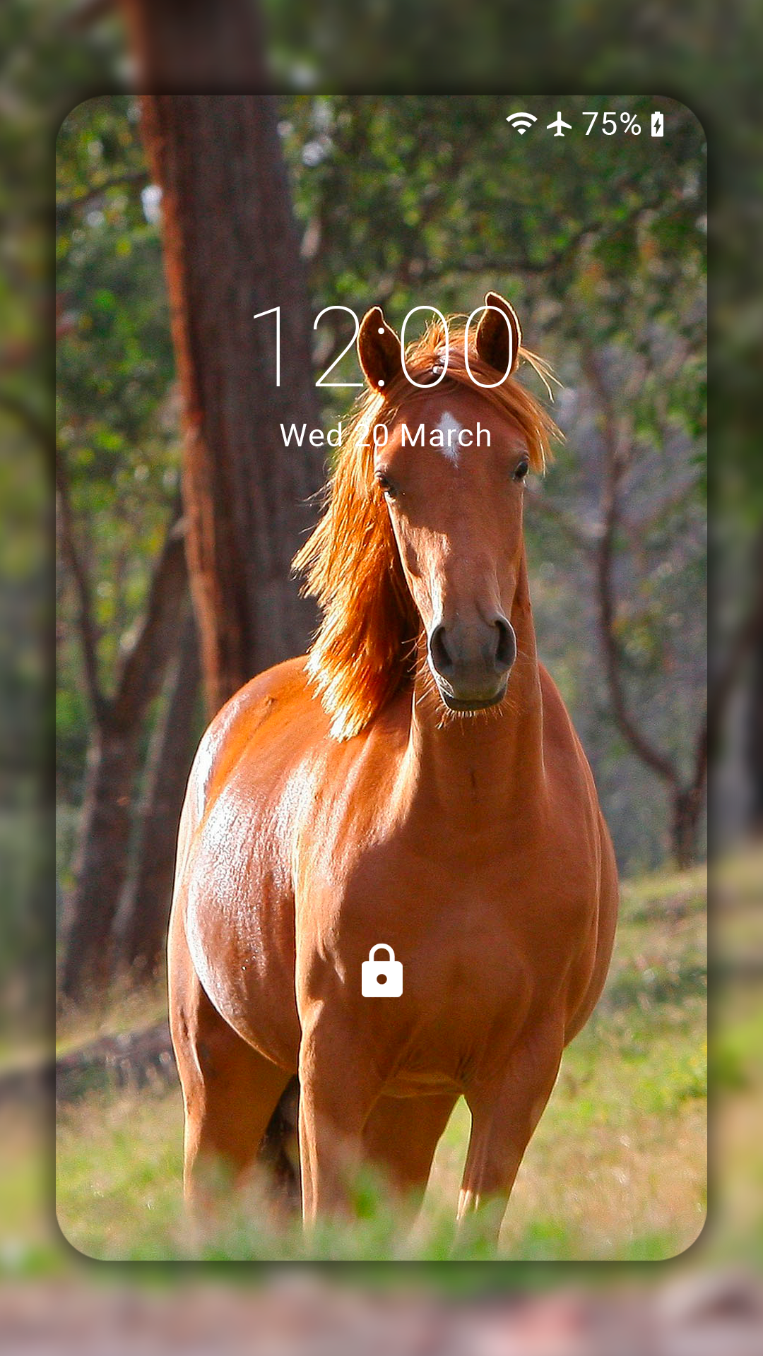 اسکرین شات 4 برنامه Horse Wallpaper HD: Themes