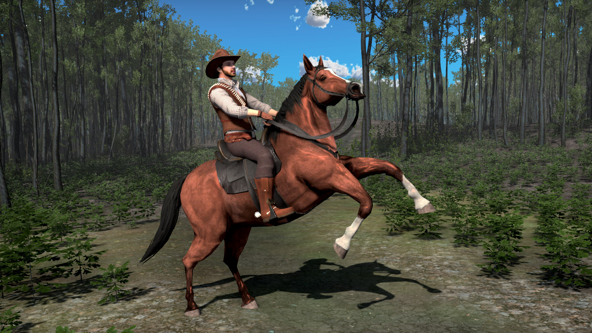 اسکرین شات 6 بازی Western Gunfitgher Cowboy Game