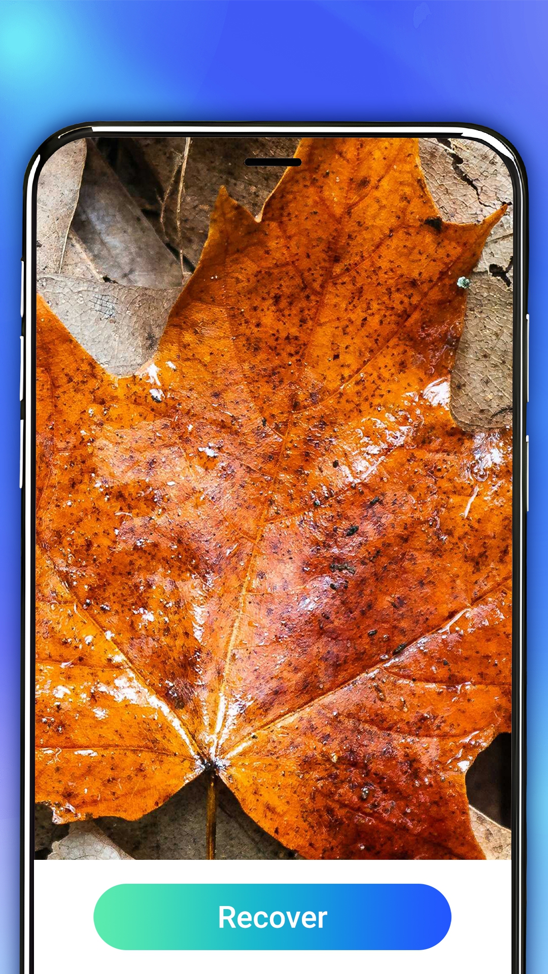 اسکرین شات 4 برنامه Photo Recovery, Data Recovery