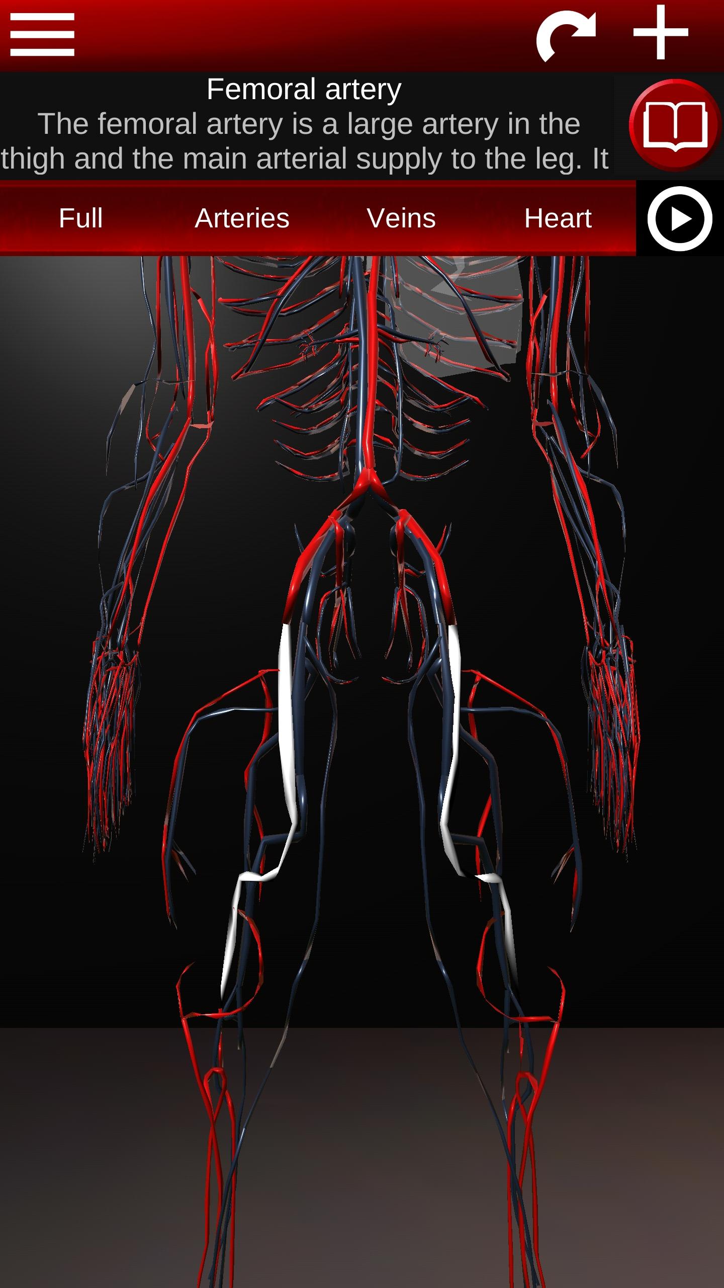 اسکرین شات 4 برنامه Circulatory System 3D Anatomy