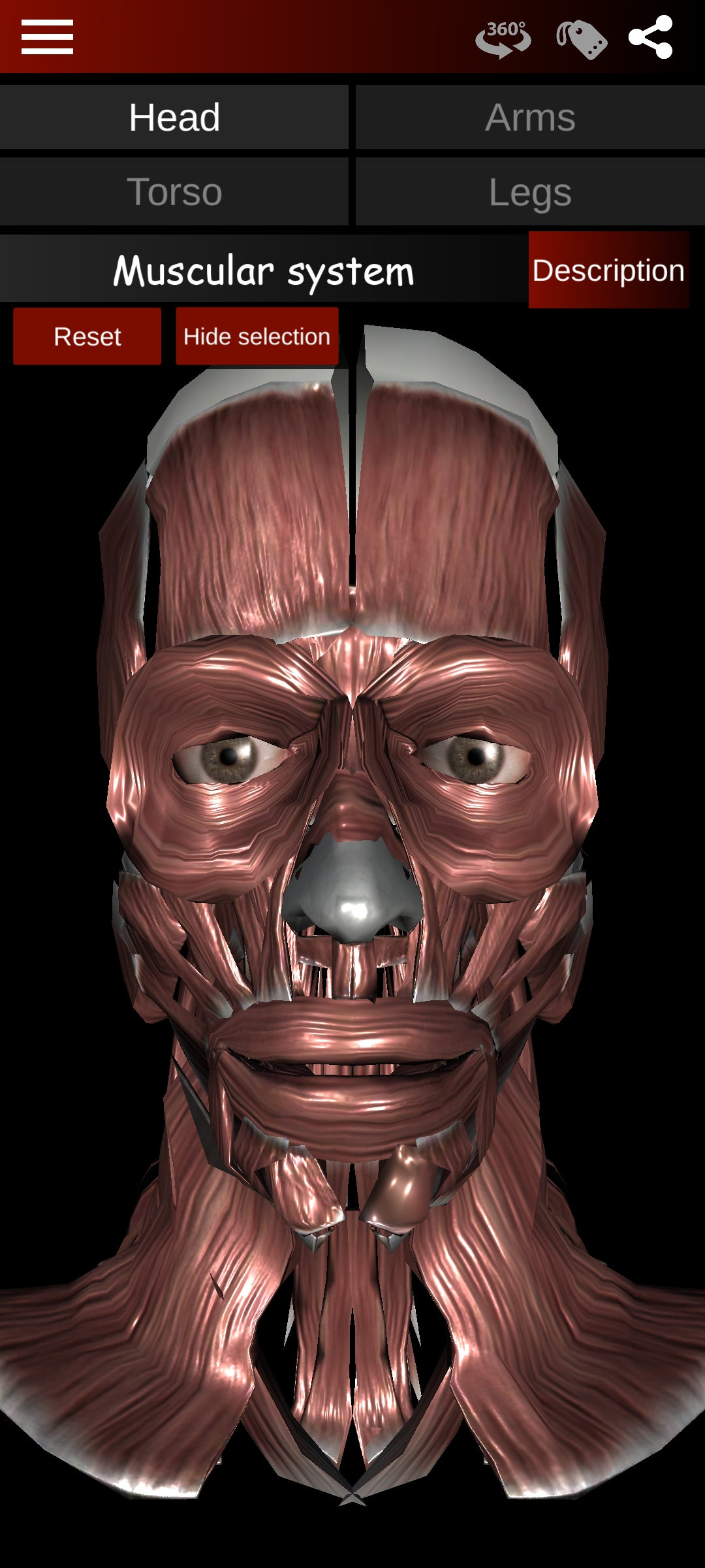 اسکرین شات 1 برنامه Muscular System 3D (anatomy)