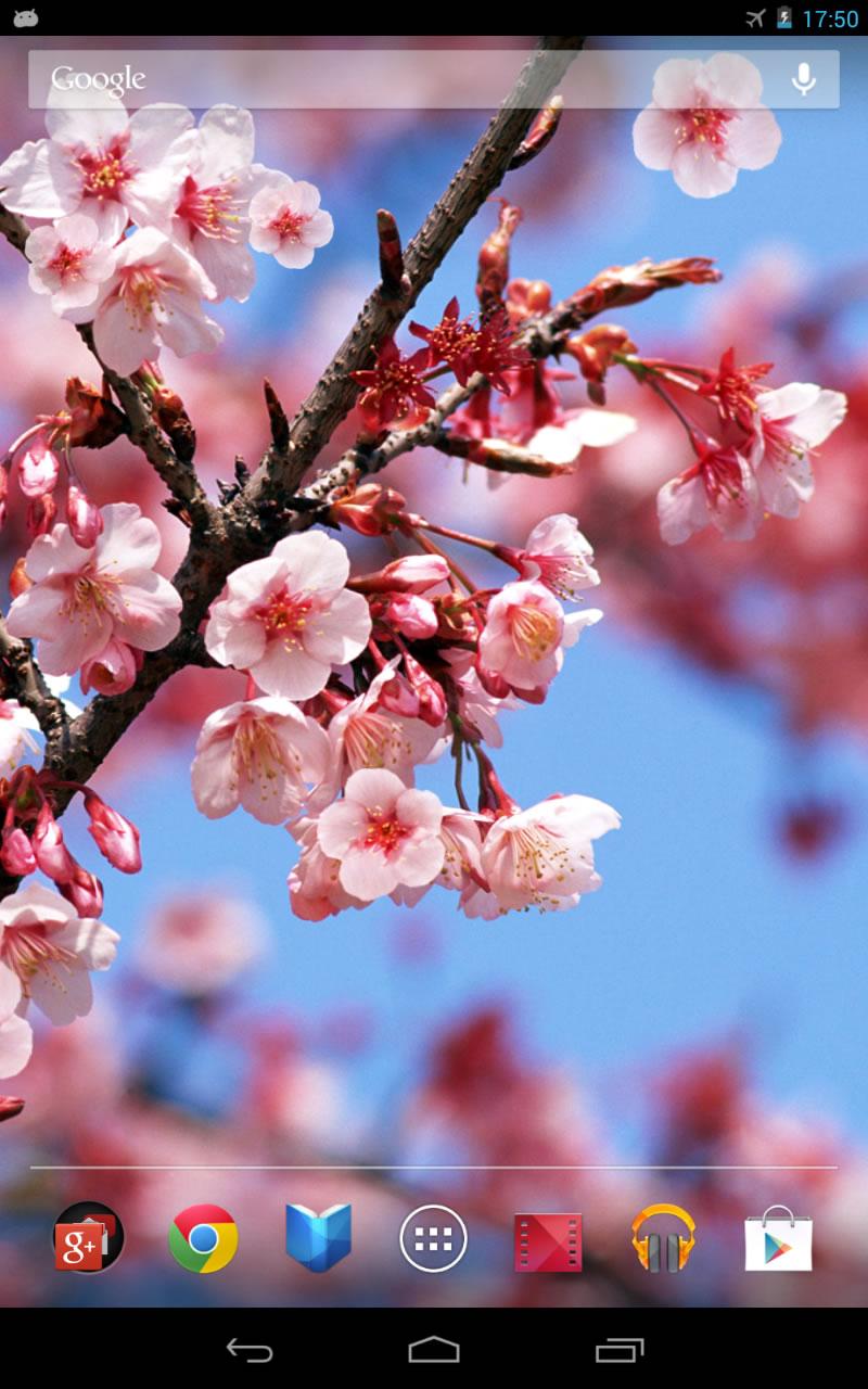 اسکرین شات 3 برنامه Sakura Live Wallpaper