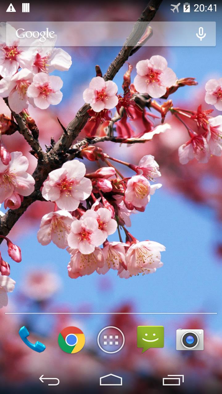 اسکرین شات 1 برنامه Sakura Live Wallpaper