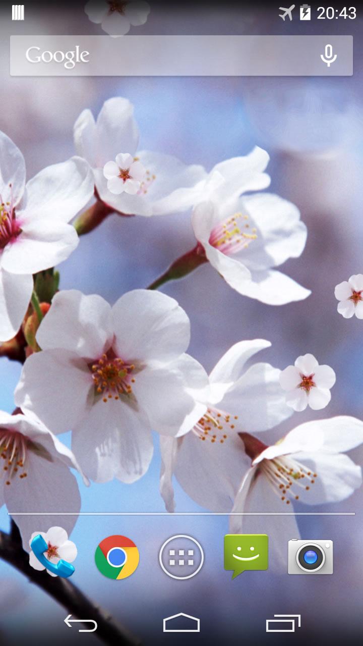 اسکرین شات 2 برنامه Sakura Live Wallpaper