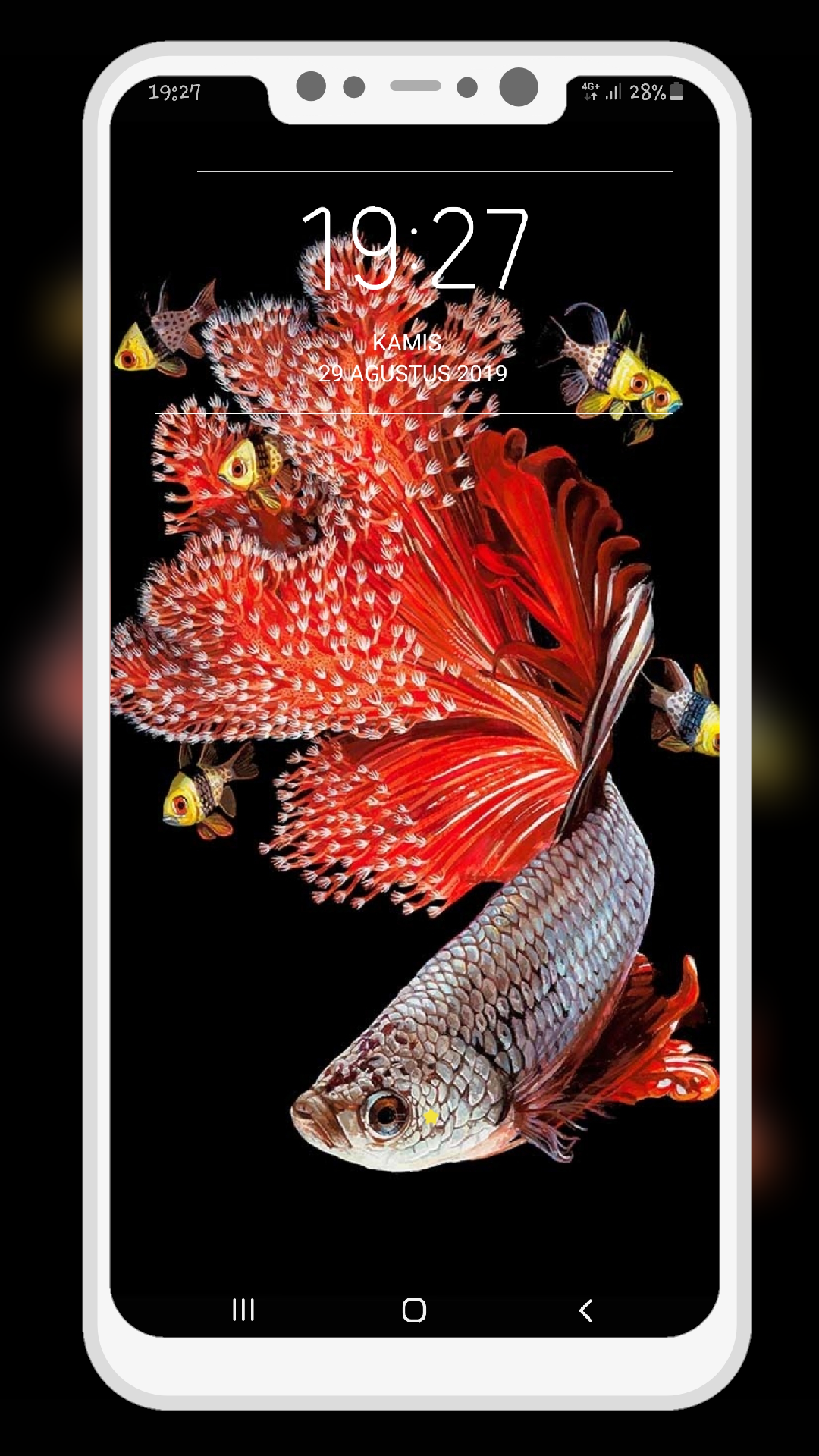 اسکرین شات 4 برنامه Betta Fish Wallpapers