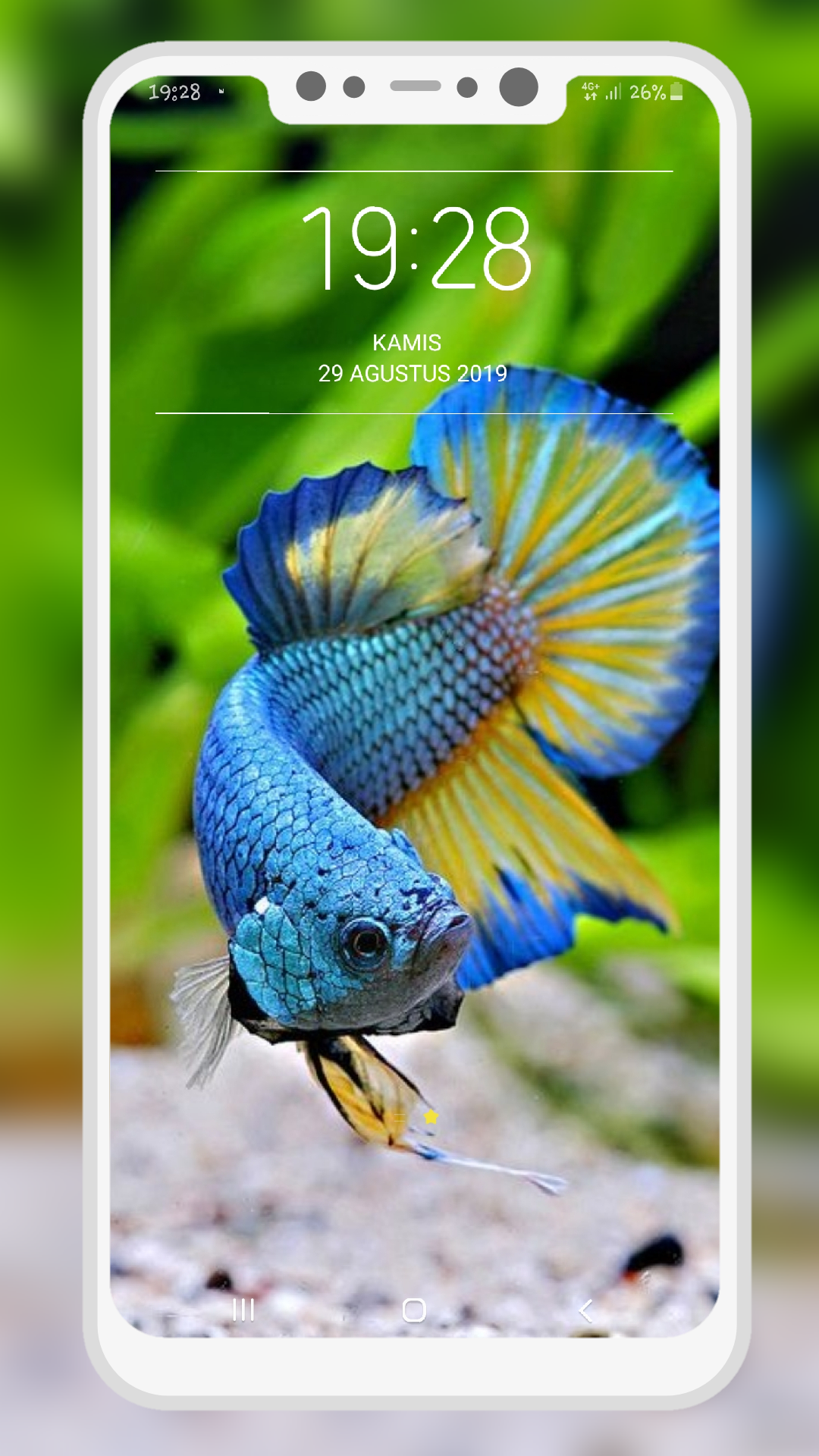 اسکرین شات 2 برنامه Betta Fish Wallpapers