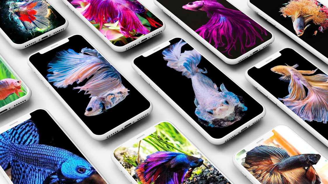 اسکرین شات 1 برنامه Betta Fish Wallpapers
