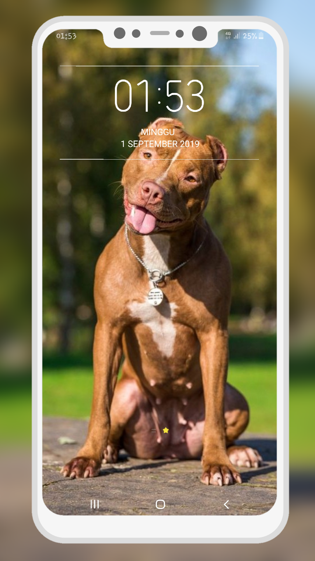 اسکرین شات 5 برنامه Pitbull Wallpaper