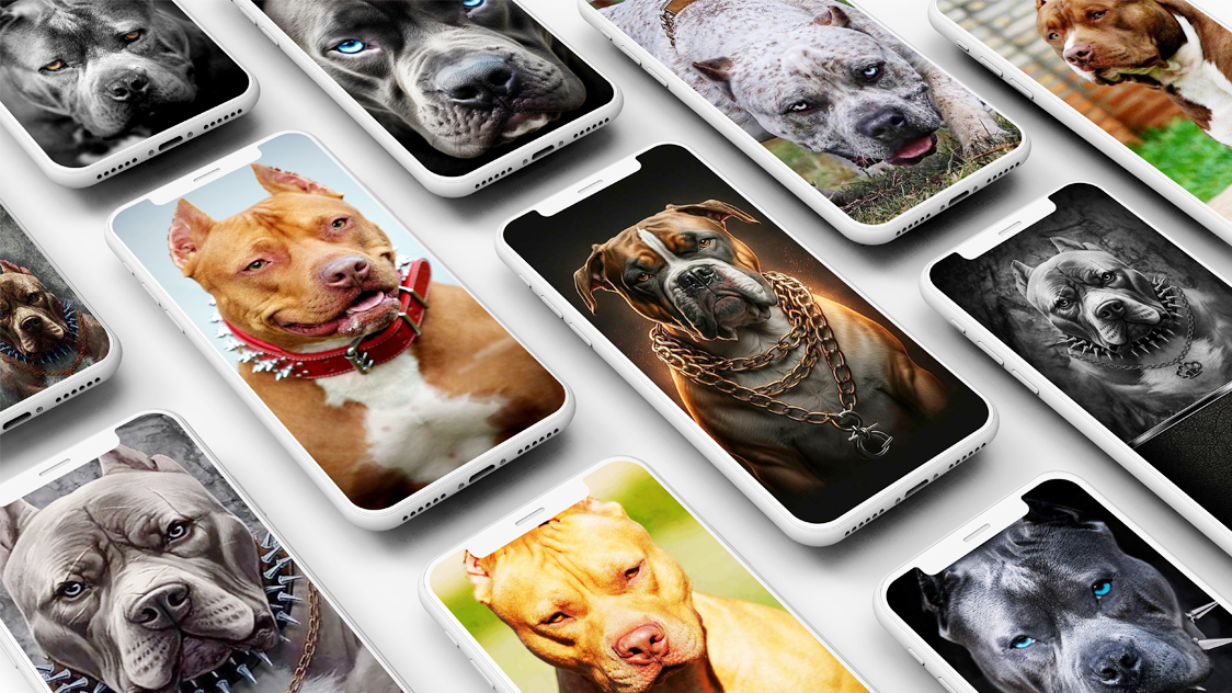 اسکرین شات 1 برنامه Pitbull Wallpaper