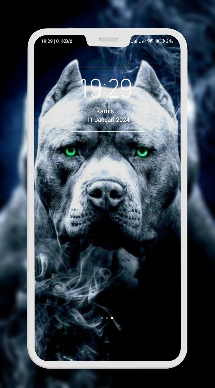 اسکرین شات 8 برنامه Pitbull Wallpaper