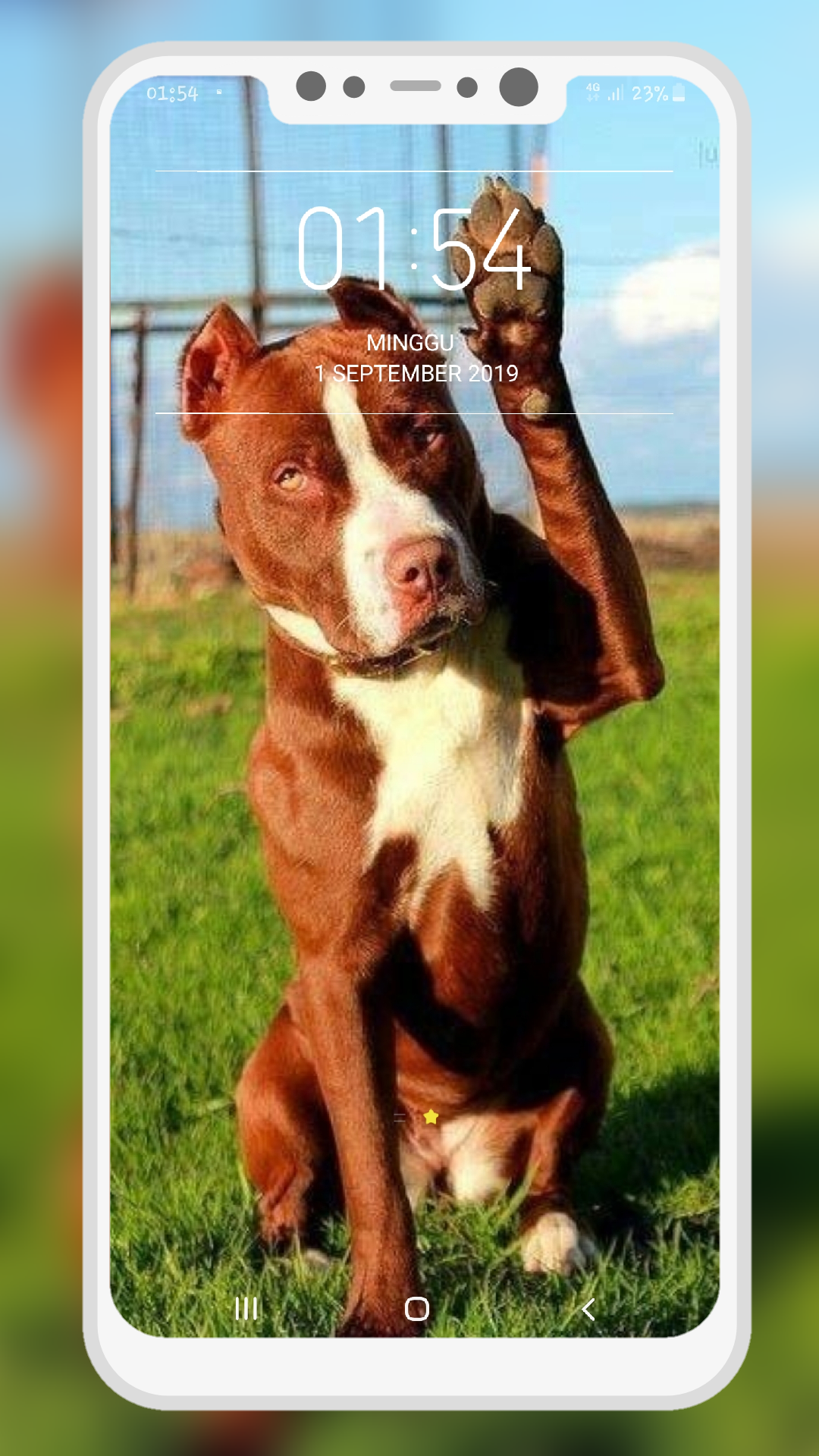 اسکرین شات 6 برنامه Pitbull Wallpaper