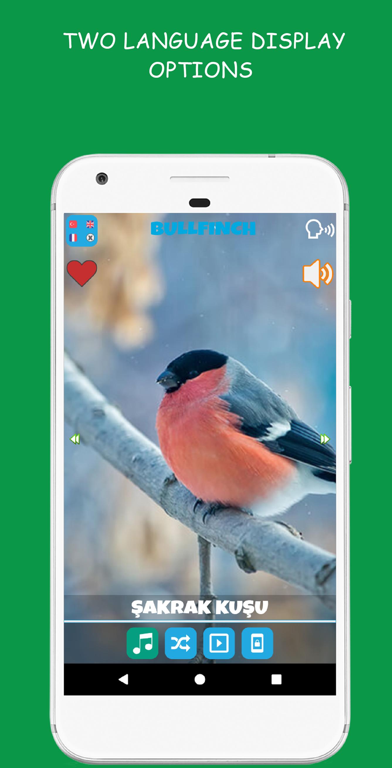 اسکرین شات 3 بازی Animal Sounds