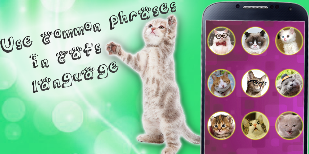 اسکرین شات 4 برنامه Translator for cats joke!