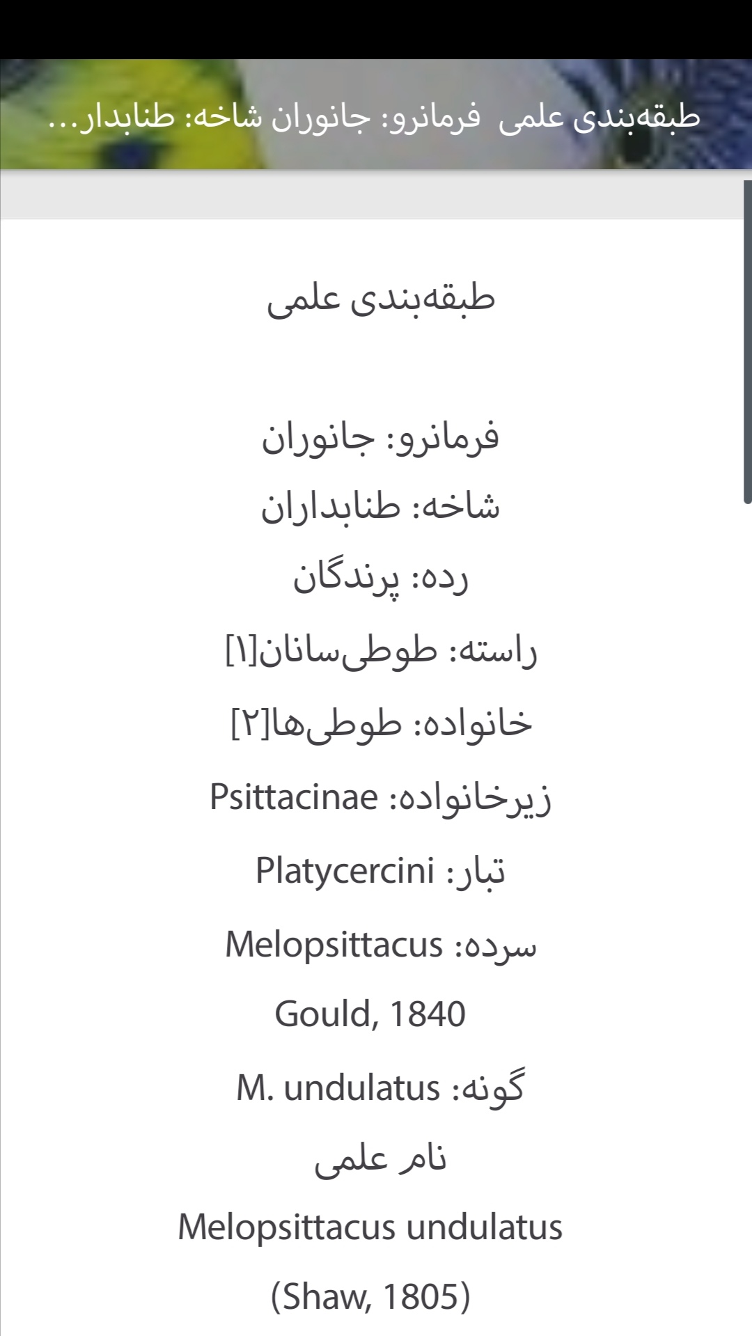 اسکرین شات 4 برنامه همه چیز درباره مرغ عشق
