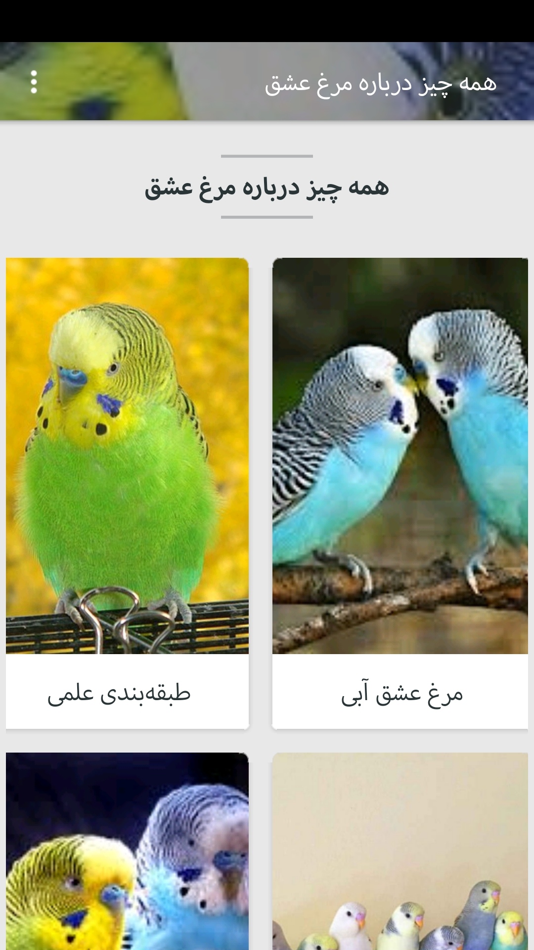 اسکرین شات 2 برنامه همه چیز درباره مرغ عشق