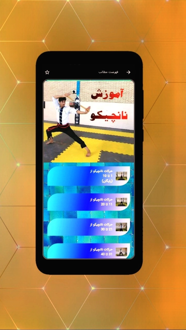 اسکرین شات 8 برنامه آموزش جامع کونگ فو