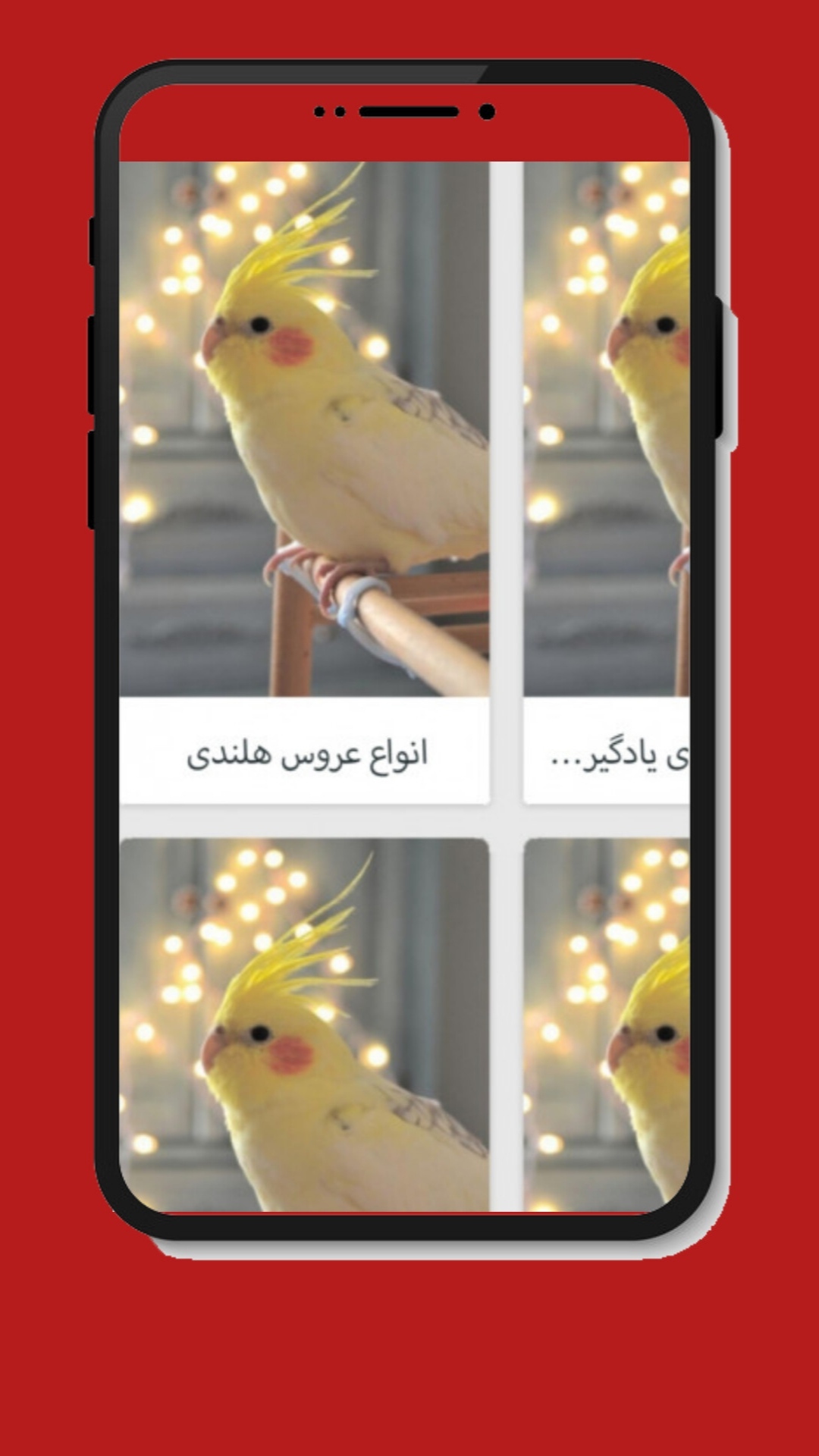 اسکرین شات 2 برنامه آموزش عروس هلندی