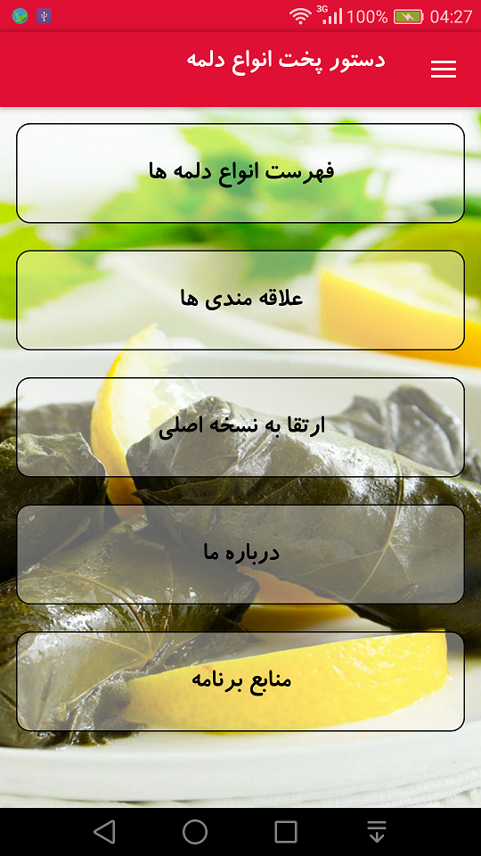 اسکرین شات برنامه دستور پخت انواع دلمه 3