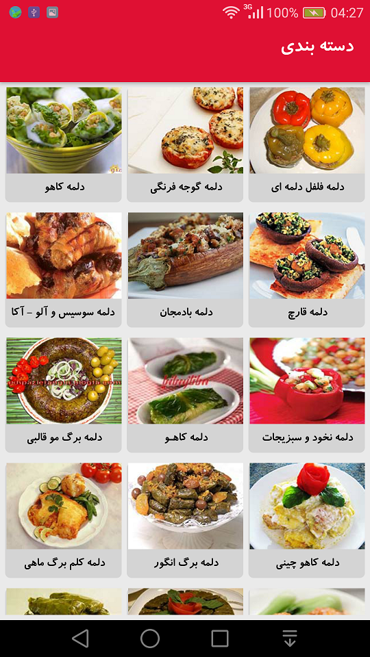 اسکرین شات برنامه دستور پخت انواع دلمه 5