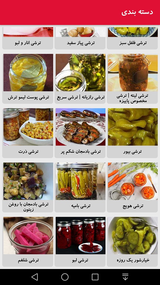 اسکرین شات 6 برنامه دستور تهیه انواع ترشی و شور