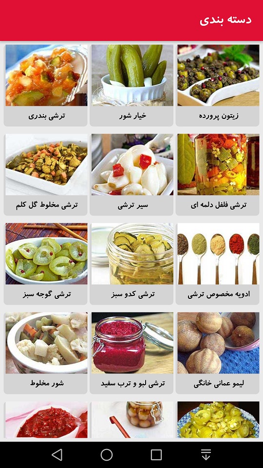 اسکرین شات 3 برنامه دستور تهیه انواع ترشی و شور