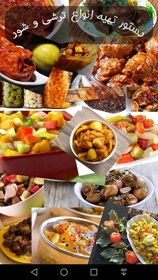 اسکرین شات 7 برنامه دستور تهیه انواع ترشی و شور